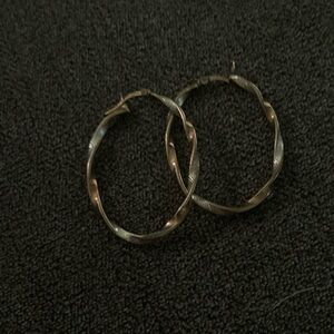 Elegant Gold Hoop Earrings